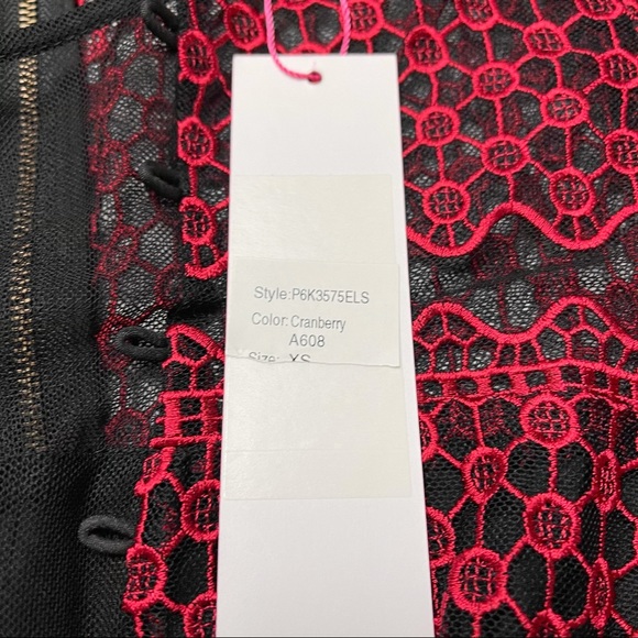 Parker Emilia Ruffled Lace Dress in Cranberry - Picture 6 of 6